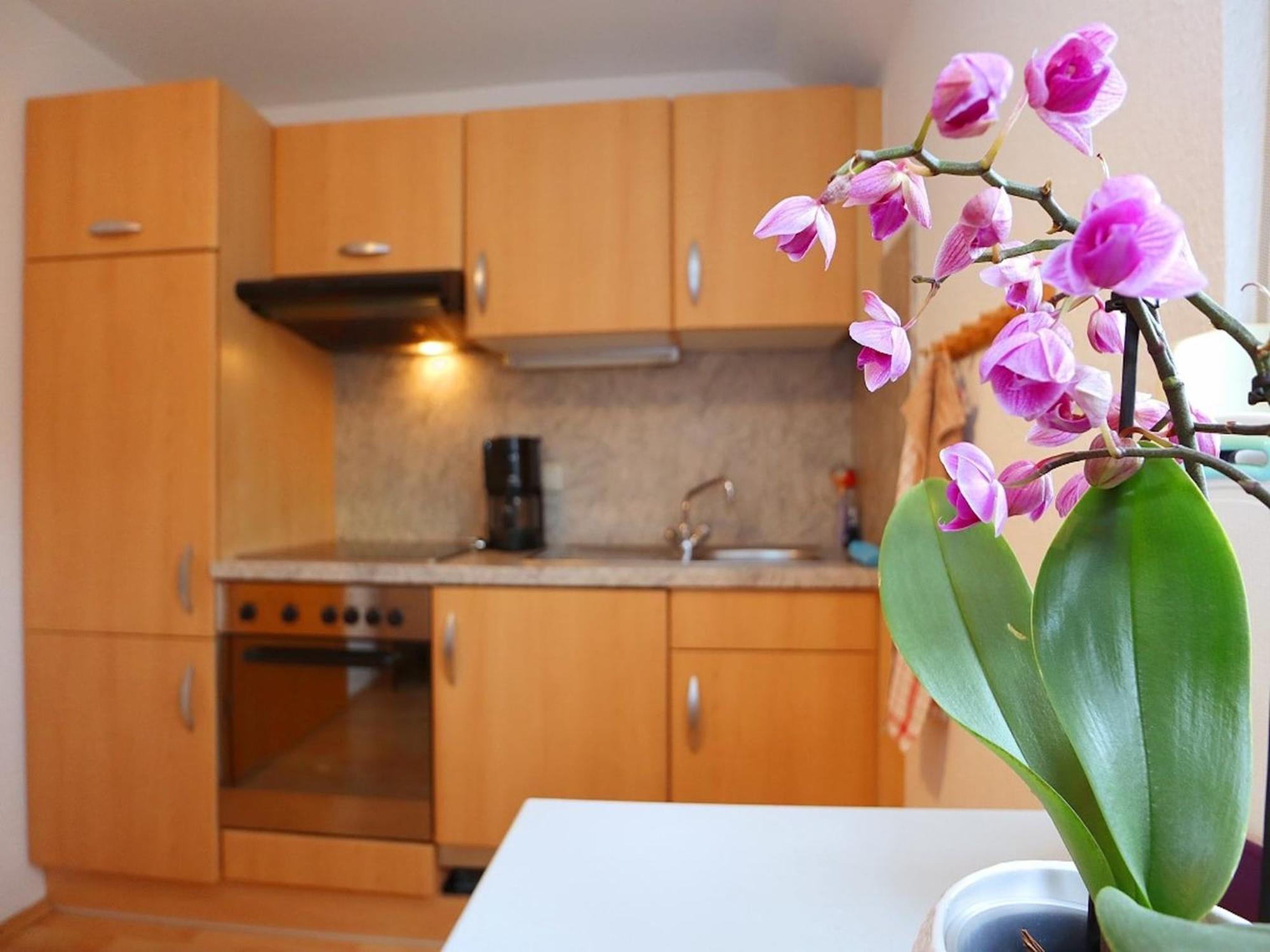 Cozy Apartment In Schwenningen With Garden Villingen-Schwenningen Esterno foto